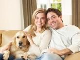 (Curso) Como Cuidar do seu Animal de Estimação